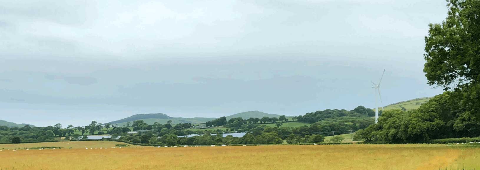 Landscape